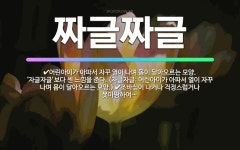 🌟짜글짜글: 어린아이가 아파서 자꾸 열이 나며 몸이 달아오르는 모양. ‘자글자글’보다 센 느낌을 준다. (... - 표준국어대사전
