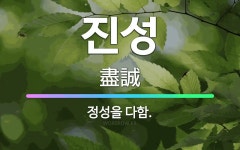 🌟진성: 정성을 다함. - 표준국어대사전