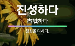 🌟진성하다: 정성을 다하다. - 표준국어대사전