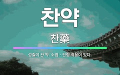 🌟찬약: 성질이 찬 약. 소염ㆍ진정 작용이 있다. - 표준국어대사전