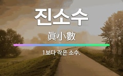 🌟진소수: 1보다 작은 소수. - 표준국어대사전