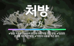 🌟처방: 처방의 내용을 적은 종이., 병을 치료하기 위하여 증상에 따라 약을 짓는 방법., 일정한 문제를 ... - 표준국어대사전