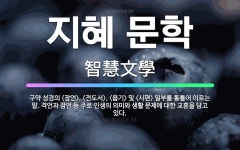 🌟지혜 문학: 구약 성경의 <잠언>, <전도서>, <욥기> 및 <시편> 일부를 통틀어 이르는 말. 격언과 ... - 표준국어대사전