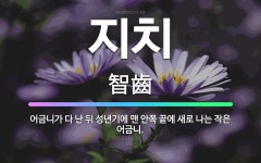 🌟지치: 어금니가 다 난 뒤 성년기에 맨 안쪽 끝에 새로 나는 작은 어금니. - 표준국어대사전