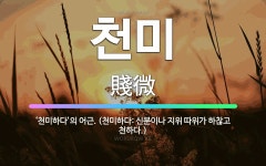 🌟천미: ‘천미하다’의 어근. (천미하다: 신분이나 지위 따위가 하찮고 천하다.) - 표준국어대사전