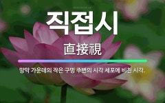 🌟직접시: 망막 가운데의 작은 구멍 주변의 시각 세포에 비친 시각. - 표준국어대사전