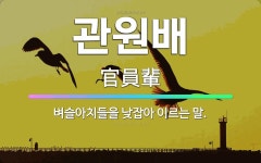 🌟관원배: 벼슬아치들을 낮잡아 이르는 말. - 표준국어대사전
