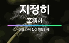 🌟지정히: 더할 나위 없이 정밀하게. - 표준국어대사전