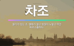 🌟차조: 찰기가 있는 조. 열매가 잘고 빛깔이 노랗고 약간 파르스름하다. - 표준국어대사전