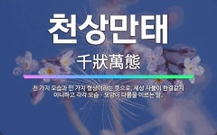 🌟천상만태: 천 가지 모습과 만 가지 형상이라는 뜻으로, 세상 사물이 한결같지 아니하고 각각 모습ㆍ모양이 ... - 표준국어대사전