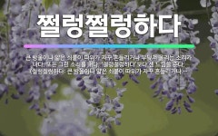 🌟쩔렁쩔렁하다: 큰 방울이나 얇은 쇠붙이 따위가 자꾸 흔들리거나 부딪쳐 울리는 소리가 나다. 또는 그런 소... - 표준국어대사전