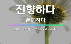 🌟진향하다: 일정한 곳이나 목표 따위를 향하여 나아가다. - 표준국어대사전