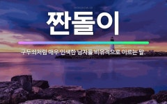 🌟짠돌이: 구두쇠처럼 매우 인색한 남자를 비유적으로 이르는 말. - 표준국어대사전