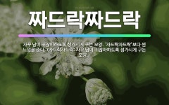 🌟짜드락짜드락: 자꾸 남이 귀찮아하도록 성가시게 구는 모양. ‘자드락자드락’보다 센 느낌을 준다. (자드락... - 표준국어대사전