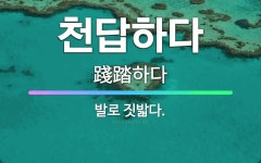 🌟천답하다: 발로 짓밟다. - 표준국어대사전