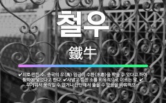 🌟철우: 쇠로 만든 소. 중국의 우(禹) 임금이 수환(水患)을 막을 수 있다고 하여 황하에 넣었다고 한다.... - 표준국어대사전