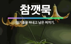 🌟참깻묵: 참기름을 짜내고 남은 찌꺼기. - 표준국어대사전