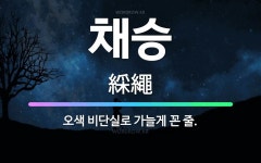 🌟채승: 오색 비단실로 가늘게 꼰 줄. - 표준국어대사전