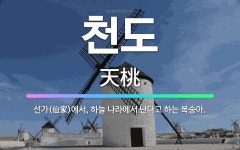 🌟천도: 선가(仙家)에서, 하늘 나라에서 난다고 하는 복숭아. - 표준국어대사전