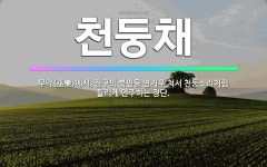 🌟천둥채: 무악(巫樂)에서, 장구의 북편을 연거푸 쳐서 천둥소리처럼 들리게 연주하는 장단. - 표준국어대사전