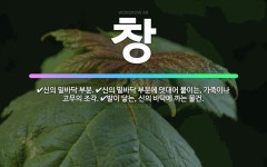🌟창: 신의 밑바닥 부분에 덧대어 붙이는, 가죽이나 고무의 조각., 신의 밑바닥 부분., 발이 닿는, 신의... - 표준국어대사전