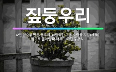 🌟짚둥우리: 탐학한 고을 수령을 지경(地境) 밖으로 몰아낼 때 태우고 가던 둥우리., 볏짚으로 만든 둥우리. - 표준국어대사전
