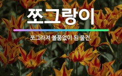 🌟쪼그랑이: 쪼그라져 볼품없이 된 물건. - 표준국어대사전