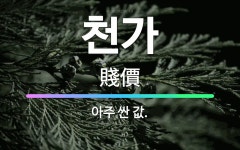 🌟천가: 아주 싼 값. - 표준국어대사전
