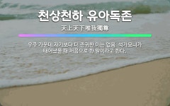 🌟천상천하 유아독존: 우주 가운데 자기보다 더 존귀한 이는 없음. 석가모니가 태어났을 때 처음으로 한 말이... - 표준국어대사전