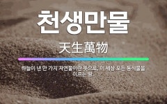 🌟천생만물: 하늘이 낸 만 가지 자연물이란 뜻으로, 이 세상 모든 동식물을 이르는 말. - 표준국어대사전