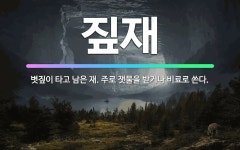 🌟짚재: 볏짚이 타고 남은 재. 주로 잿물을 받거나 비료로 쓴다. - 표준국어대사전