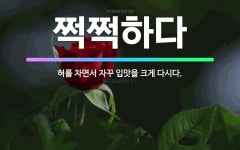 🌟쩍쩍하다: 혀를 차면서 자꾸 입맛을 크게 다시다. - 표준국어대사전