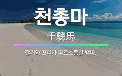 🌟천총마: 갈기와 꼬리가 파르스름한 백마. - 표준국어대사전