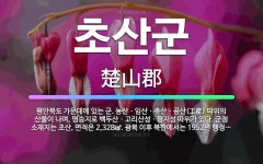 🌟초산군: 평안북도 가운데에 있는 군. 농산ㆍ임산ㆍ축산ㆍ공산(工産) 따위의 산물이 나며, 명승지로 백두산ㆍ... - 표준국어대사전