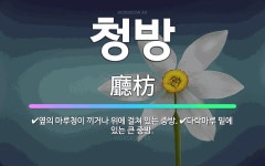 🌟청방: 다락마루 밑에 있는 큰 중방., 옆의 마루청이 끼거나 위에 걸쳐 있는 중방. - 표준국어대사전