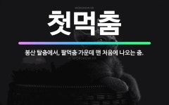 🌟첫먹춤: 봉산 탈춤에서, 팔먹춤 가운데 맨 처음에 나오는 춤. - 표준국어대사전