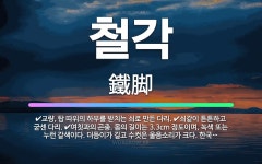 🌟철각: 쇠같이 튼튼하고 굳센 다리., 교량, 탑 따위의 하부를 받치는 쇠로 만든 다리., 여칫과의 곤충.... - 표준국어대사전