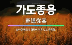 🌟가도종용: 살아갈 방도나 형편이 여유 있고 풍족함. - 표준국어대사전