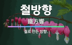 🌟철방향: 철로 만든 방향. - 표준국어대사전