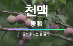 🌟천맥: 땅속에 있는 샘 줄기. - 표준국어대사전