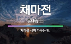 🌟채마전: 채마를 심어 가꾸는 밭. - 표준국어대사전