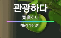 🌟관광하다: 마음이 아주 넓다. - 표준국어대사전