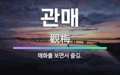🌟관매: 매화를 보면서 즐김. - 표준국어대사전