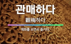 🌟관매하다: 매화를 보면서 즐기다. - 표준국어대사전