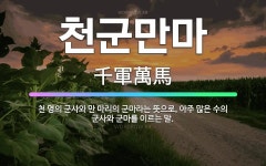 🌟천군만마: 천 명의 군사와 만 마리의 군마라는 뜻으로, 아주 많은 수의 군사와 군마를 이르는 말. - 표준국어대사전
