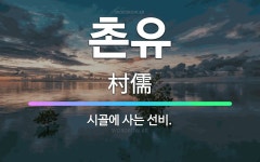 🌟촌유: 시골에 사는 선비. - 표준국어대사전