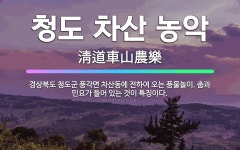 🌟청도 차산 농악: 경상북도 청도군 풍각면 차산동에 전하여 오는 풍물놀이. 춤과 민요가 들어 있는 것이 특... - 표준국어대사전