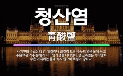 🌟청산염: 사이안화 수소산의 염. 알칼리나 알칼리 토류 금속의 염은 물에 녹고 수용액은 가수 분해가 되어 ... - 표준국어대사전