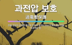 🌟과전압 보호: 전원 전압의 급격한 증가로 인하여 장치나 요소가 파괴되는 것을 보호하는 일. - 표준국어대사전