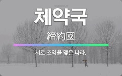 🌟체약국: 서로 조약을 맺은 나라. - 표준국어대사전